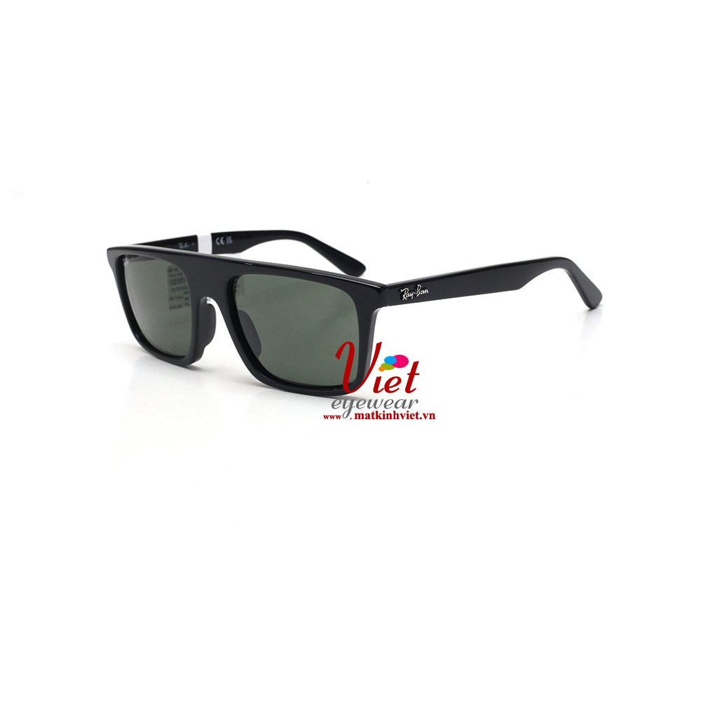 Kính mát RayBan RB2222F 901/31